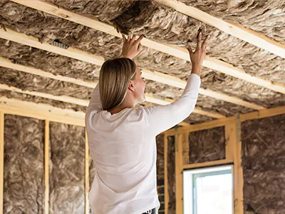 Ceiling Insulation