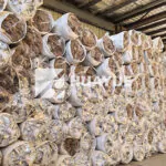 warehouse with fiberglass roll insulation installed